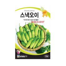 세계종묘 스낵오이씨앗 50립