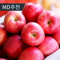 [당일수확] 햇 빨간사과 가정용 고당도 꿀사과 홍로 부사 사과, 3kg 중과(11-12과), 1개