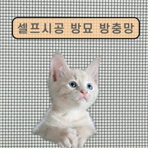 고양이 방충망 방묘창 셀프시공