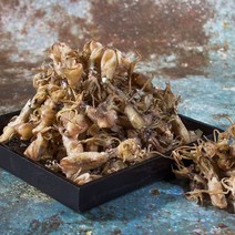 쵱선생 국내산 꼴뚜기(호래기) 300g 당일발송 특품, 1개