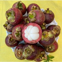 [항공직송] 열대과일의 여왕 태국 망고스틴 500g 1kg 2kg, 생망고스틴 3kg : 24~42과