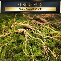 사랑품산삼 산양삼 15년근 3뿌리 장뇌삼 산양산삼 천종 자연산산삼, 1개