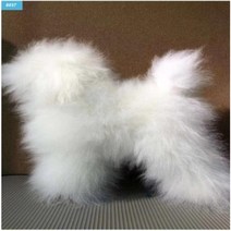 [댕댕픽]전체털 애견미용 강아지 위그털 도그위그 시험 자격증(화이트)