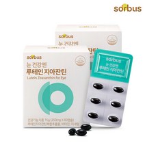 [소버스] 눈 건강엔 루테인 지아잔틴 (60캡슐) x2박스