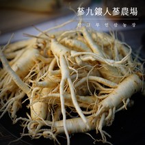 (삼화원)세척파삼 5~6년근 바로먹는 수삼 금산인삼 세척인삼 굵은파삼 파지 못난이 인삼, 세척파삼800g