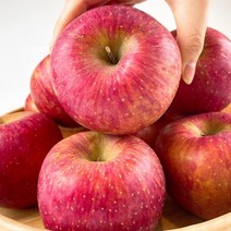 [22년] 고당도 경북 청송 사과 햇 부사 정품 선물용 5kg꼬마(23-24과)