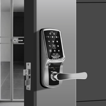 라맥스 IoT 스마트 도어락 무타공 현관문 주키 번호키 디지털 도어록 N-650LI, 방문설치(설치비용별도지불)