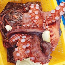 남해 돌문어 활 생 문어 1kg 시세, 돌문어 1kg(1-3미)