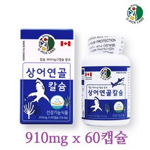 호주산 저분자 상어연골 콘드로이친 분말 가루 캡슐 벼건강 상어연골칼슘 효능 뼈 치아 신경 근육 도움 910mgx60캡슐, 60캡슐, 910mg