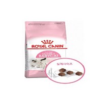 로얄캐닌 마더 앤 베이비 캣 건식사료, 1개, 2kg