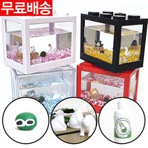 국산정품 블럭 어항 대크기 마리모 키우기, 레드블럭[그린]