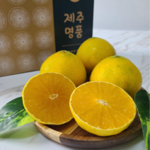 (26일 오전9시 주문마감) 제주 산지직송 황금향 명품 선물세트, 로얄과 5kg