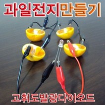쭈bapha_향앤미과학 과일 전지 고휘도 발광 다이오드 1인용 만들기 실험키트 학습교구 교육용 교재♥LtMS, ♥myside!
