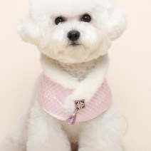 펫파파 강아지케이프 한복케이프, 핑크