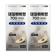 대일빠삐방700 10개입x2개 근육통완화 자석파스, 2개, 10개