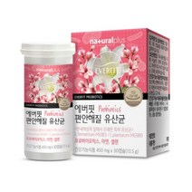 내츄럴플러스 에버핏 편안해질 질 유래 유산균 30캡슐 10통 10개월분, 30정, 10개