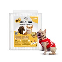 케이알펫츠 강아지 빠른흡수 가성비 1단계 배변패드 4050-100매입 싸다구 패드, 1세트