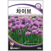 차이브 400립 관상용 허브씨 텃밭 키우기 종자 씨앗+서비스씨앗증정