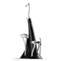 5 in 1 High Frequency Ultrasonic Dental Scaler Vibration Sonic Tooth Cleaner Remove Sta Tartar Scrap, [02] Black
