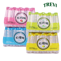 트레비 탄산수 350ml x 40팩, 플레인