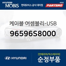 케이블-USB (96596S8000) 팰리세이드 현대모비스 부품 공식대리점 온라인쇼핑몰 파츠로