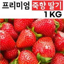 죽향딸기 프리미엄 딸기 담양 설향 1kg(500g X 2개), 2개