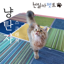 천일 냥탄자 고양이 스크래쳐매트, 맹수5. 퓨마