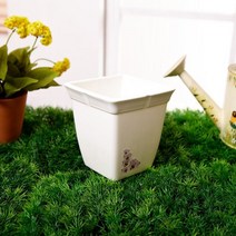 정사각화분 2호 분갈이화분 꽃화분 인테리어