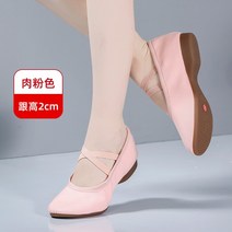 부드러운 살사화 스윙화 라인 댄스화 재즈화 스포츠 댄스 신발 구두 굽낮은, 41 255, 2cm 핑크