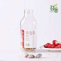 [감동] 전남 담양 담금주 키트 선물세트, 1set, 딸기주 500ml 우정주