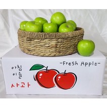 아오리사과 어르신 10kg 중과소과혼합 청송방사과 햇사과 추석 명절 청사과 남여노소 건강비타민C 여름, 상세페이지 참조, 상세페이지 참조, 상세페이지 참조