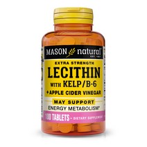 매이슨네츄럴스 Mason Naturals 레시틴 With 켈프 B-6 플러스 사이더 비니거 타블렛, 100개입, 1개