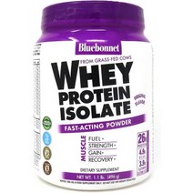 단백질 보충제 Bluebonnet Nutrition Whey Protein Isolate Powder from Grass Fed Cows No Sugar Added Gluten, 1.1 Pound (Pack of 1)