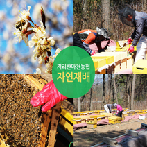 지리산 마천 농협 산삼 배양근 순수 사양 벌꿀 500g, 산삼 배양근 꿀 500g