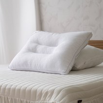 국내생산 진드기차단 알러지케어 향균 먼지없는 빨아쓰는 경추 마이크로 베개솜 4종