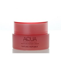 네이처리퍼블릭 슈퍼 아쿠아 맥스 모이스처 수분크림 건성용 80ml, 8개