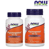 나우 푸땡 푸드 피크노제놀 파인바크 인디어언구스베리 60100mg 60캡슐 약들약 고약사, 4.100mg 2병