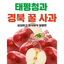 태평청과 경북 주스용 꿀사과 정품 경북 꿀사과 10kg 가정용, 정품 경북 꿀사과 5KG 선물용 (18~25과)