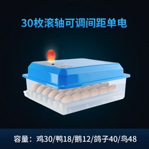 가정용 스마트 부화기 백봉 오골계 알 2단 오토 자동 부하기 메추리, 30개의 자동 단일 전기