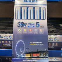 필립스 저수은 주광색 36W x 5입