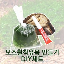 피알피쉬 모스활착유목 만들기 DIY세트, B세트