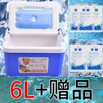 보온 상업용 노점 포장 찬합 차량용 냉장고 아이스박스, T10-6L블루색 온도계 1카드 5아