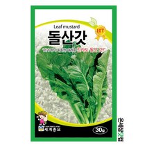 돌산갓 10g / 갓씨앗 갓씨 김장채소 돌산갓씨앗 돌산갓씨 여수갓씨앗, 30g