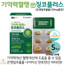 기억력 혈행 징코플러스 은행잎추출물 나이아신 아연 판토텐산 징코 식약처인증, 5박스, 500mg x 30정