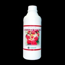 IF1 복분자딸기농축액1kg