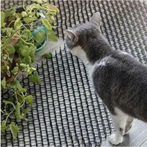 비둘기 고양이 접근금지 실외기 베란다 설치 스파이크 펜스망 Q, 스파이크테잎10P