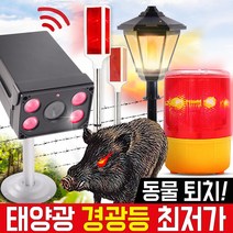 신성나라 태양광 경광등 4종 태양열 표시등, 04_방범용 레이더 센서등(화이트), 1개