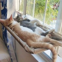 고양이 해먹 창문 선반 고양이 창문 해먹 강력고정 윈도우 창틀 투명, 스카이