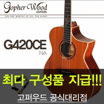 고퍼우드 G420CE 탑백솔리드 EQ기타 [공식대리점 당일발송 평생AS]