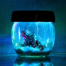 LED 화학정원 만들기 (5인용)